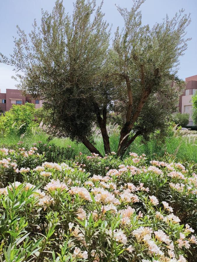 Prestigia Marrakech Dar Cheryana 马拉喀什 外观 照片